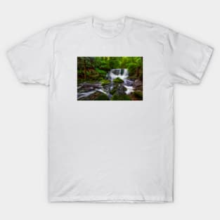 Horseshoe Falls, Tasmania T-Shirt